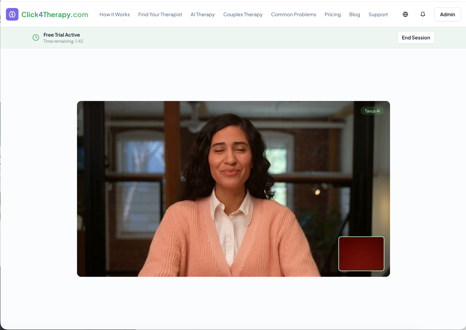 Click4Therapy.com screenshot 2